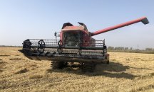  Забранява се пушенето и паленето на открит огън в близост до посевите по време на жътвената кампания