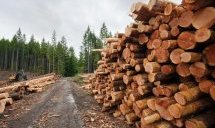 Полицаи задържаха три каруци с незаконна дървесина в Монтанско