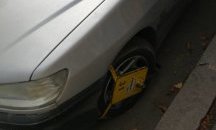 "Паяк" тръгва из Добрич
