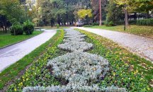 Разкрасяват Пловдив с един милион есенни цветя