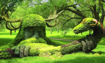  Най-красивите и магически градини в света