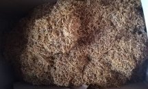 Изкупната кампания за тютюна започва този месец