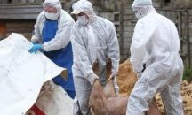 Протест срещу мерките срещу чумата по свинете и в ямболското село Безмер