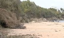 Опасна сеч застрашава от свалачище къмпинг „Черноморец” 