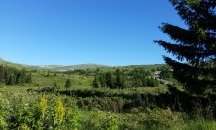 Скоростно изкачване на Черни връх и туристически събор ще се проведат на Витоша