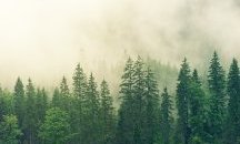 Горова гора гори край Белица