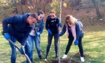 Доброволци от район "Възраждане" и ЧЕЗ Електро България засадиха 64 дърветата в парк "Възраждане"