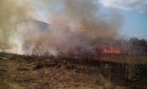 Гасят пожар в сухи треви край Русе