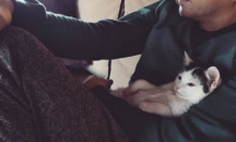Котка наводни дома на Малкълм