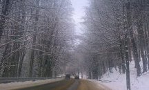 Забрана за движение на камиони над 12 т в прохода "Петрохан"