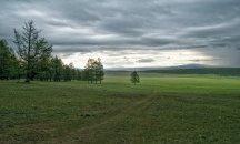 Поискаха петгодишен мораториум върху строителството в зелените зони