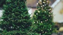 Пазете се от Синдрома на коледната елха