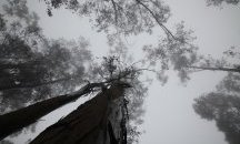 Облачно време, на места с дъжд и сняг, през почивните дни