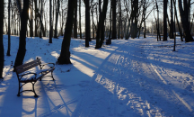 Изпращаме годината с предимно слънчево време