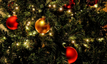 Коледна мода: Тропически елемент превземат украсите във Франция 