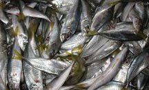 Започват извънредни проверки в цялата страна заради Никулден