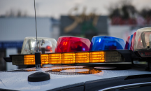 В Сингапур заловиха голям контрабанден товар люспи от мравояди