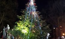 Карловчани запалиха светлините на коледната елха