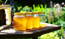 Пчелари от цялата страна излизат на протест