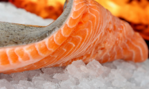 Ядем все повече вносна риба