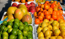 Пуснаха доставките на плодове и мляко за учениците