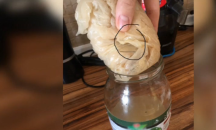 Пловдивчанка се натъкна на неприятна изненада в консерва