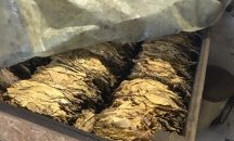 Изгориха над 24 тона конфискуван нелегален тютюн