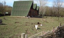Зоопаркът в Добрич търси непотребни коледни елхи