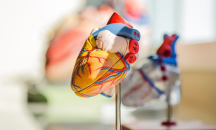 „Изпомпващ пластир“ може да помага за възстановяване след сърдечен удар