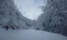 Намериха петимата младежи, изгубени в Пирин (ОБНОВЕНА)