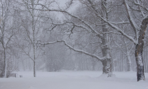 Студовете в Полша тази зима взеха над 60 жертви