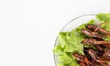 Oткриха Музей на отвратителните храни в Швеция