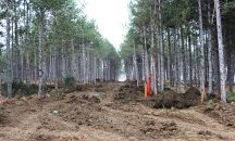 Неправителствени организации внесоха в МС становища срещу застрояването на Черноморието