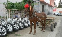 Жители на Казанлък излизат на протест с искане за пълна забрана на каруците