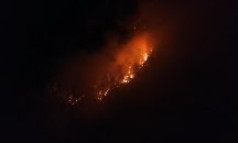 Пожар унищожи 20 декара широколистна гора край Златоград