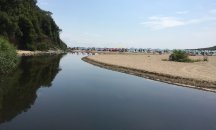 11 сдружения с отворено писмо относно Закона за биологично разнообразие