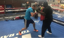 Тервел Пулев може да защитава европейската си титла в България