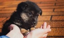 17 февруари е Ден на спонтанните актове на доброта