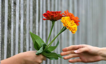 Десет изненадващи факта за щастието