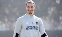 Вдигат паметник на Ибрахимович в Малмьо