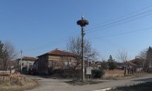 Първи щъркел кацна в хасковското село Подкрепа