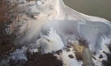 Български завод за хлебна мая замърсява река Дунав