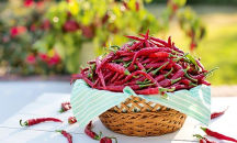 Вещество в лютите чушки забавя развитието на рак на белия дроб