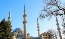 През миналата година в Турция са били убити 440 жени