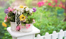 Езикът на цветята – деликатен израз на нашите чувства