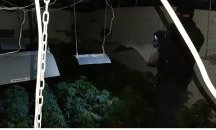 Разкриха подземна наркооранжерия при спецоперация в София
