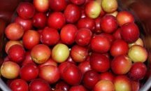 Цената на джанките в Турция надмина тази на агнешкото