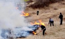Пожар избухна в близост до жилищни сгради в Благоевград