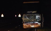 29 загинаха в автобусна катастрофа в Индия