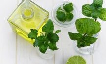Успешна компания произвежда етерични масла от чубрица и тамян в Добрич